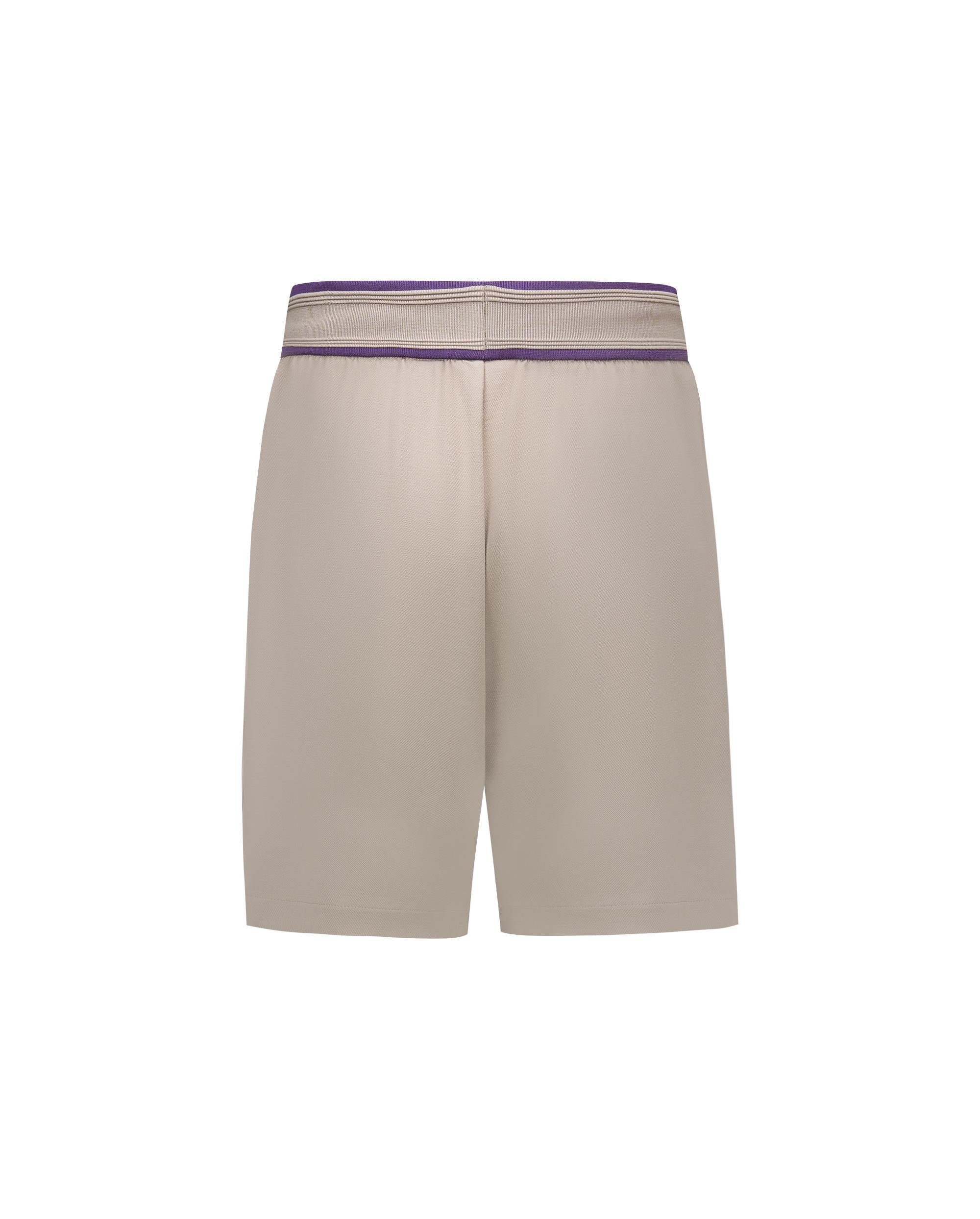 1011323-050 | MEN'S IRIS LOGO LOOSE FIT SIDE STRIPES SHORTS | MOON ROCK - Image 5
