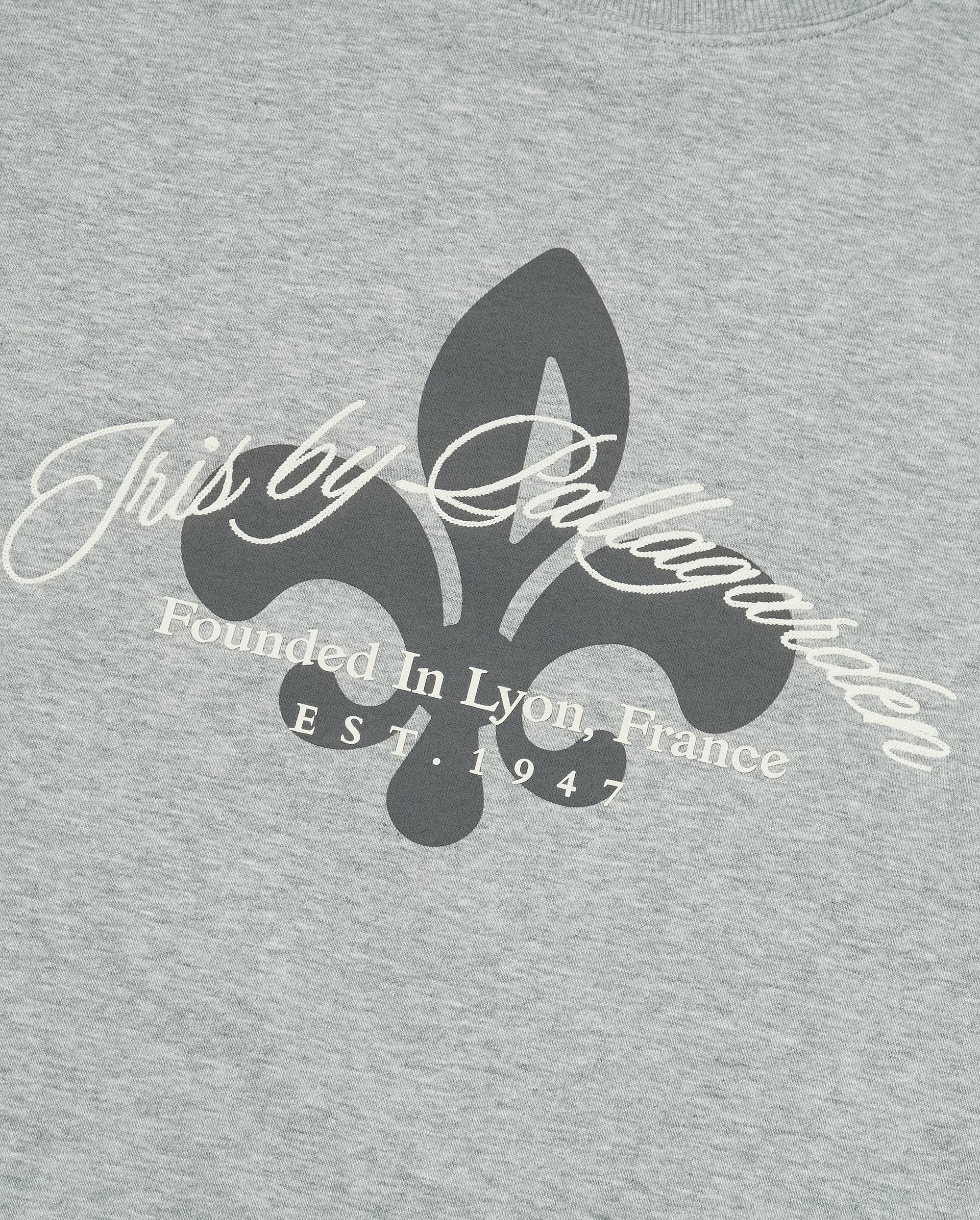 1011897-081 | MEN'S IRIS THEME PRINTED SWEATSHIRT | GREY - Image 4