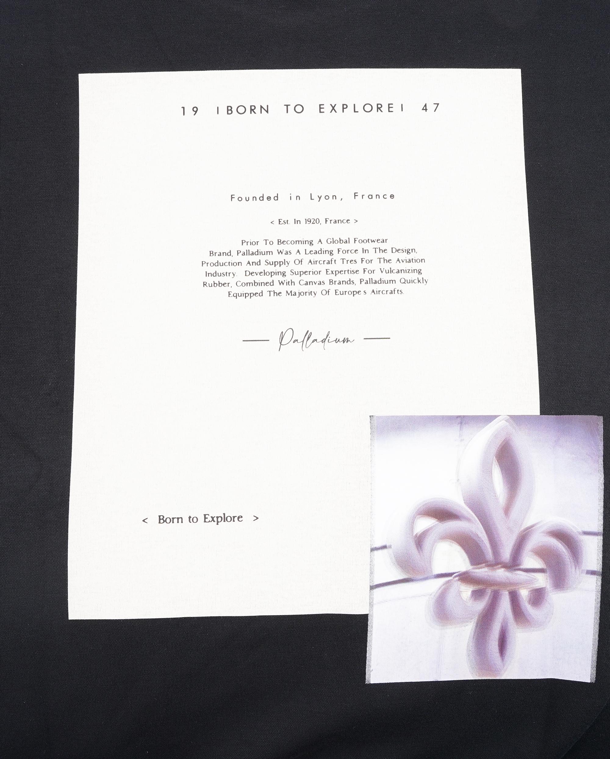 109717-032 | MEN'S PALLADIUM LOGO LOOSE FIT SWEATSHIRT | TAP SHOE - Image 7